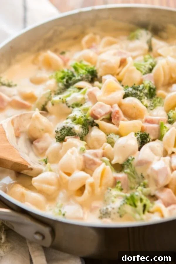 Our Ham and Broccoli Macaroni and Cheese: The Perfect Comfort Meal Our ham and broccoli macaroni and cheese is one of our favorite meals to make. It's the side and main dish (the ham) brought together!