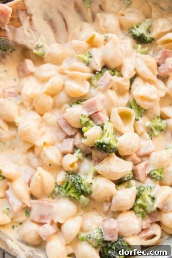 A Childhood Inspired Mac and Cheese Our ham and broccoli macaroni and cheese is one of our favorite meals to make. It's the side and main dish (the ham) brought together!