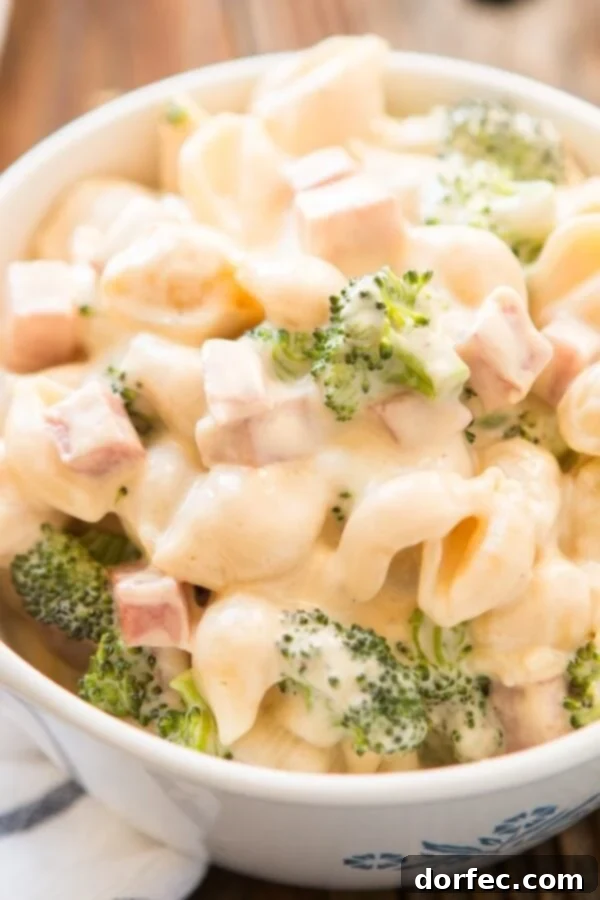 Bringing Childhood Flavors Together Our ham and broccoli macaroni and cheese is one of our favorite meals to make. It's the side and main dish (the ham) brought together!