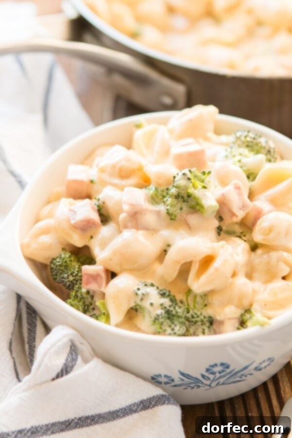 The Versatile Goodness of Broccoli Our ham and broccoli macaroni and cheese is one of our favorite meals to make. It's the side and main dish (the ham) brought together!