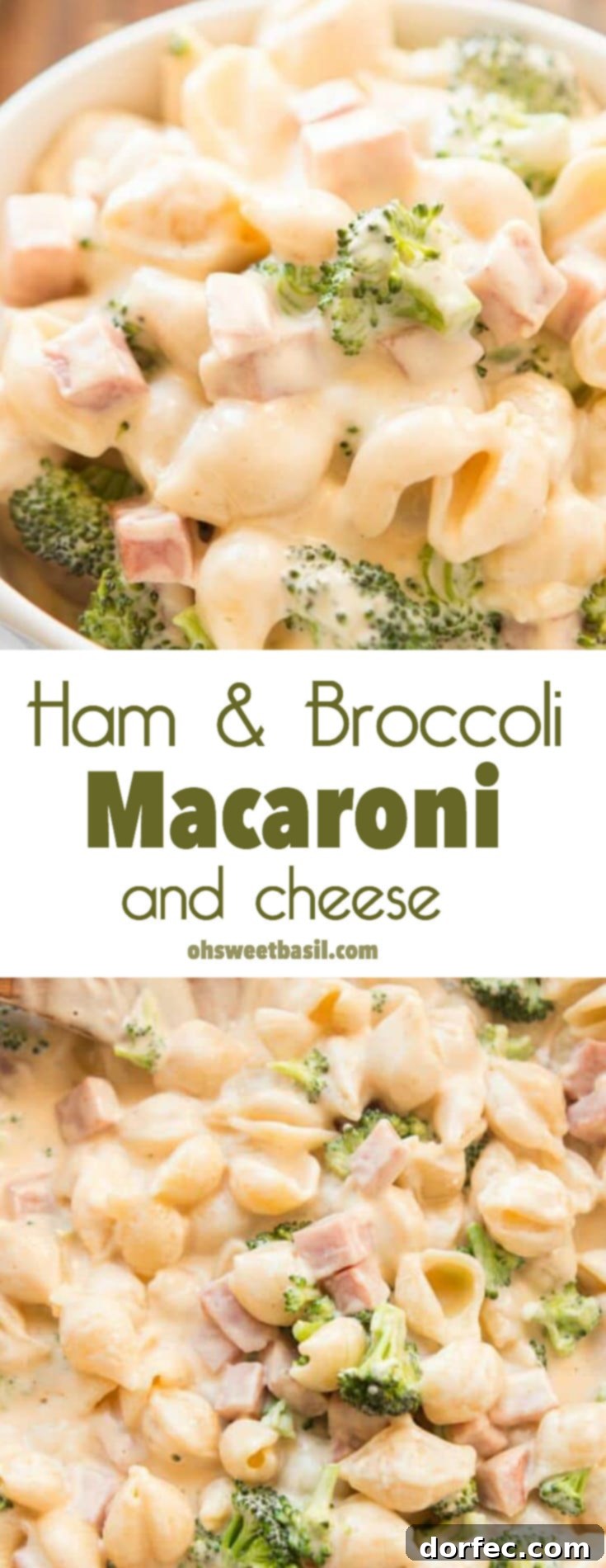 Ham and Broccoli Macaroni Gratin 3 A cup of ham & broccoli macaroni and cheese