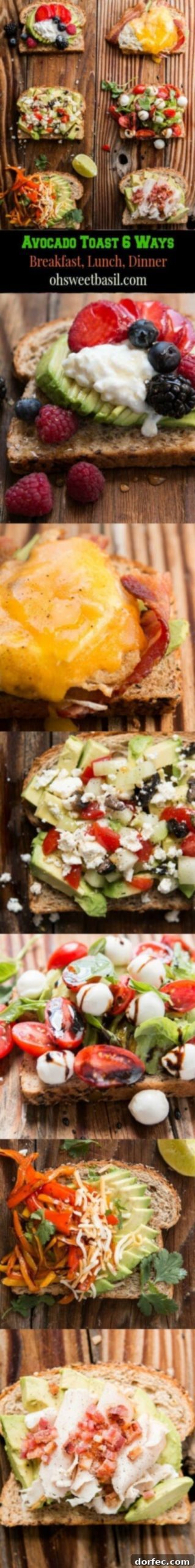 6 Fresh Ideas for Avocado Toast 4 Avocado Toast for breakfast lunch and dinner. I think the caprese is my favorite, wait or the berry, gosh I don't know ohsweetbasil.com