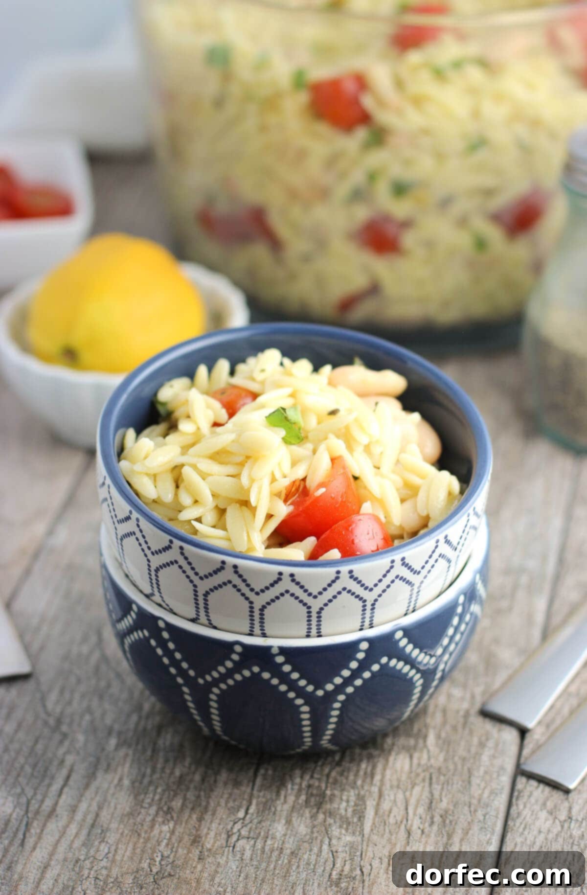 Lemon Orzo Pasta Salad - an easy pasta salad with fresh basil, tomatoes, cannellini beans, and almonds.
