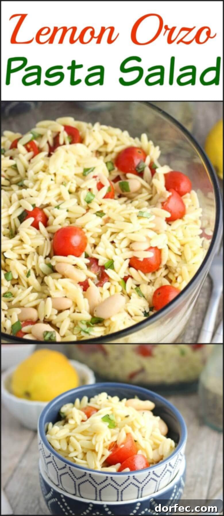 Lemon Orzo Pasta Salad - an easy pasta salad with fresh basil, tomatoes, cannellini beans, and almonds.