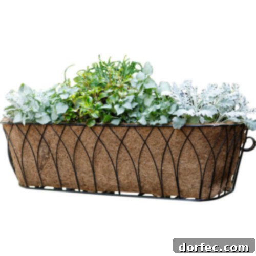 The Best Mother's Day Gifts 6 Nelumbo Rectangular Window Box Planter for Gardeners