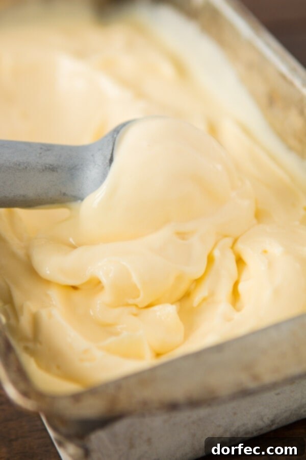 You can make your own lemon curd frozen custard from home and guess what, it's literally the creamiest ice cream you will ever have and it's only a few ingredients! You can make your own lemon curd frozen custard from home and guess what, it's literally the creamiest ice cream you will ever have and it's only a few ingredients!