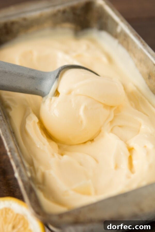 You can make your own lemon curd frozen custard from home and guess what, it's literally the creamiest ice cream you will ever have and it's only a few ingredients! You can make your own lemon curd frozen custard from home and guess what, it's literally the creamiest ice cream you will ever have and it's only a few ingredients!