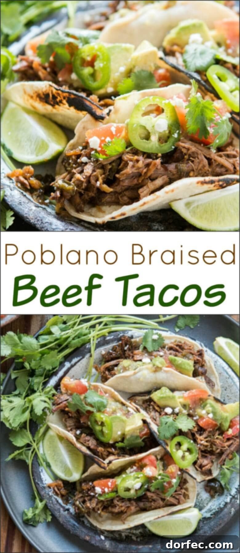 Another mouthwatering image of Poblano Braised Beef Tacos.