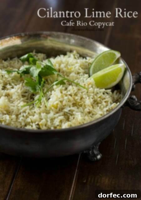 Fluffy and flavorful Cilantro Lime Rice, a perfect copycat recipe inspired by Cafe Rio's popular side dish, ideal for burritos or bowls.