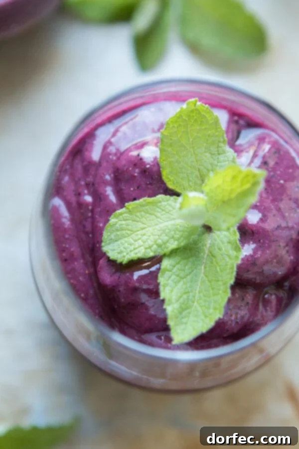 Enjoying a nutritious Orange Berry Protein Shake, made with high-quality, plant-based protein powder, for sustained energy and vitality. ohsweetbasil.com