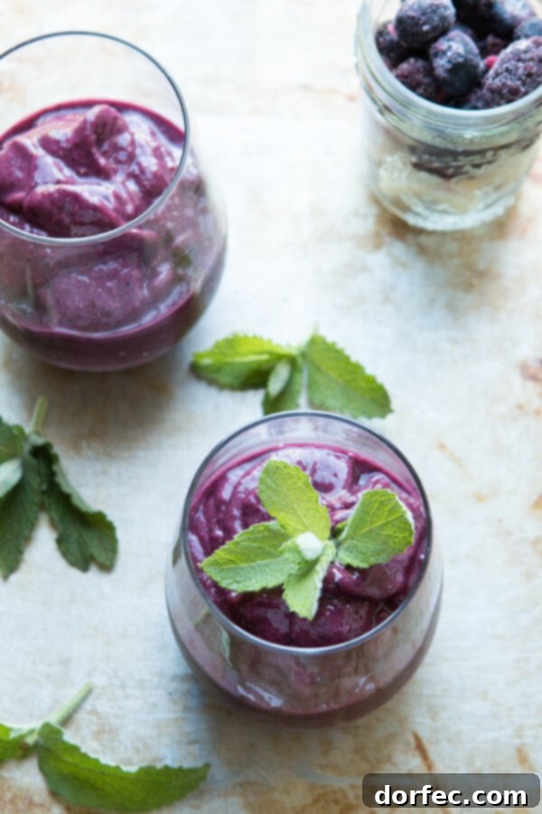A refreshing Orange Berry Protein Shake, combining the immune-boosting power of oranges with antioxidant-rich berries and premium protein. ohsweetbasil.com