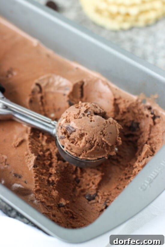 Double Chocolate Mint Chip Ice Cream from mysequinedlife.com