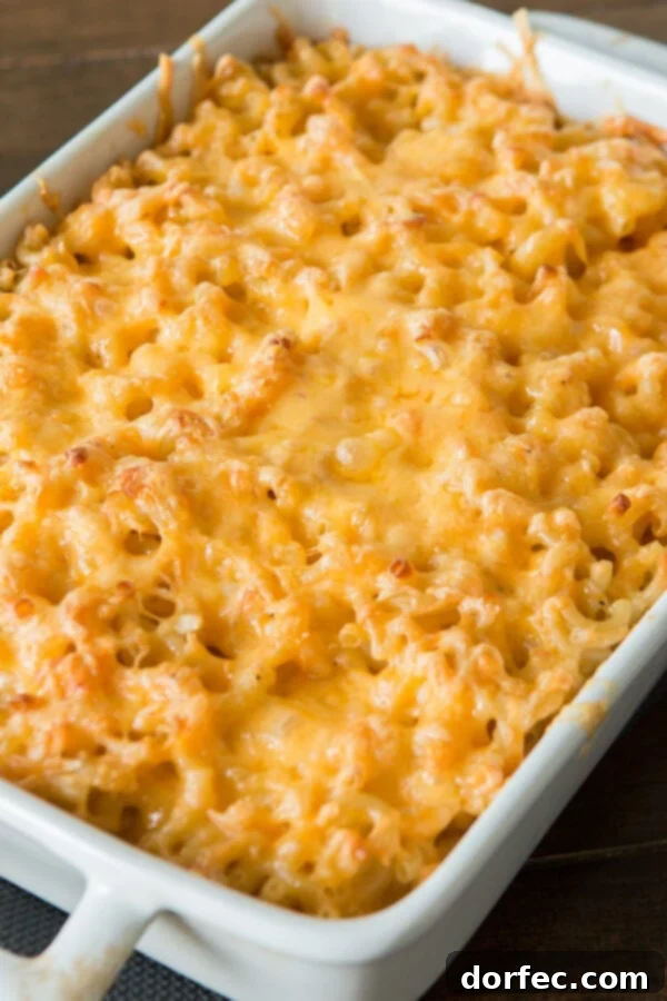 Traditional Southern macaroni and cheese in a white baking dish, showing its firm, custard-like texture.