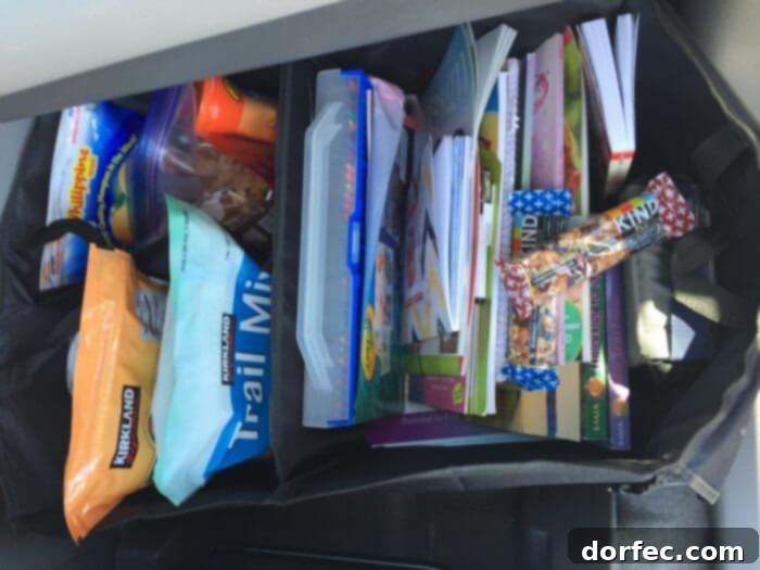 Essential items for a Disneyland trip including comfortable shoes and a portable phone charger