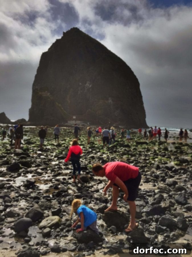 Stunning view of the Oregon Coastline near Seaside, showcasing a rugged beach and distant headlands.