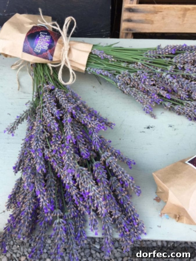 A vibrant bouquet of fresh lavender, likely from a Portland farmer's market.