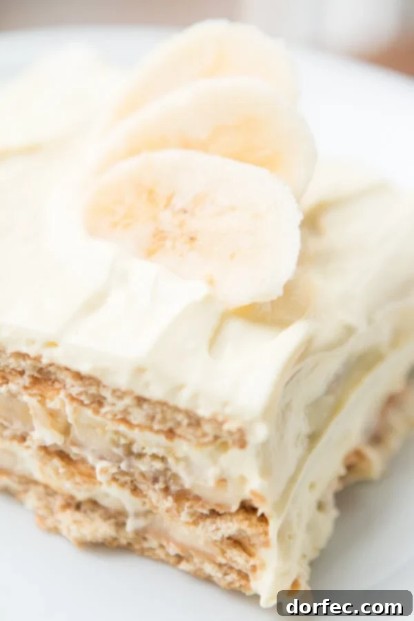 Our family goes crazy for banana cream pie so a banana cream icebox cake was a must! It's just as delicious but even easier to make! Luscious banana cream icebox cake ready to be chilled