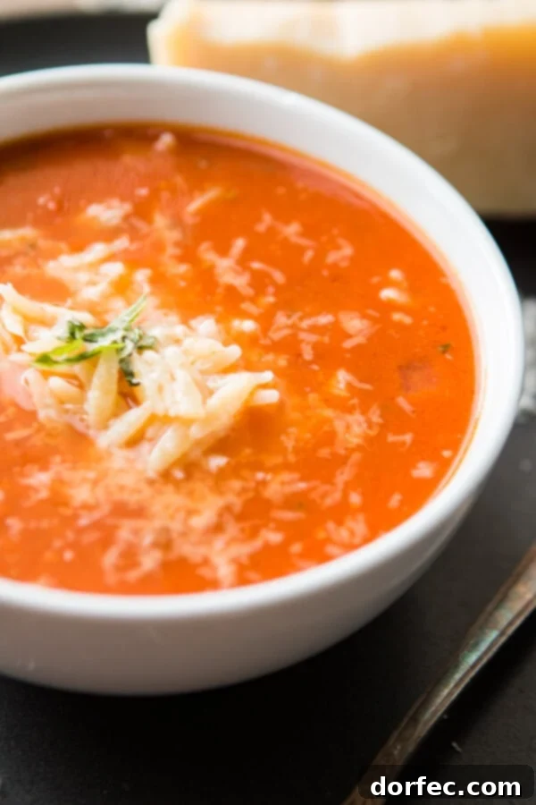 A close-up shot of the creamy Zupas Copycat Tomato Basil Orzo Soup, showcasing its rich texture and basil garnish.