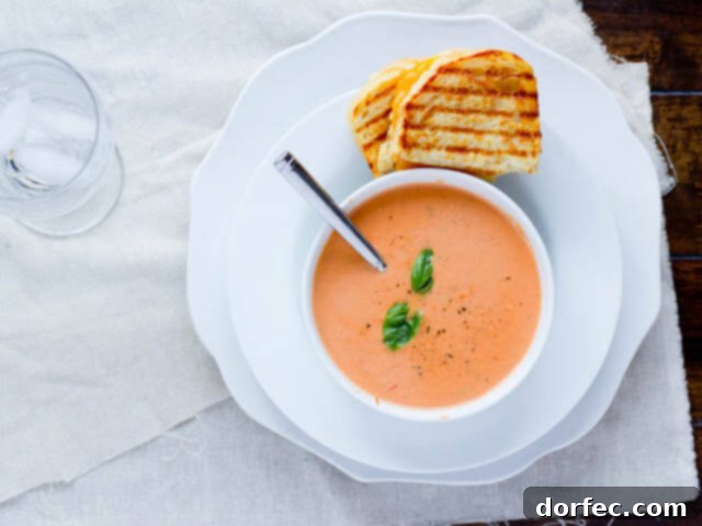 Creamy tomato soup paired with a gourmet three-cheese grilled cheese sandwich, the ultimate comfort food combination.