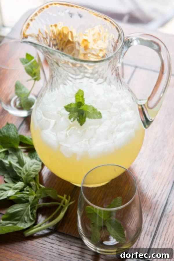 Vineyard Frost 5 Basil Mint Lemonade is an exceptionally refreshing drink, combining classic lemonade with aromatic herbs. The ultimate summer drink. ohsweetbasil.com