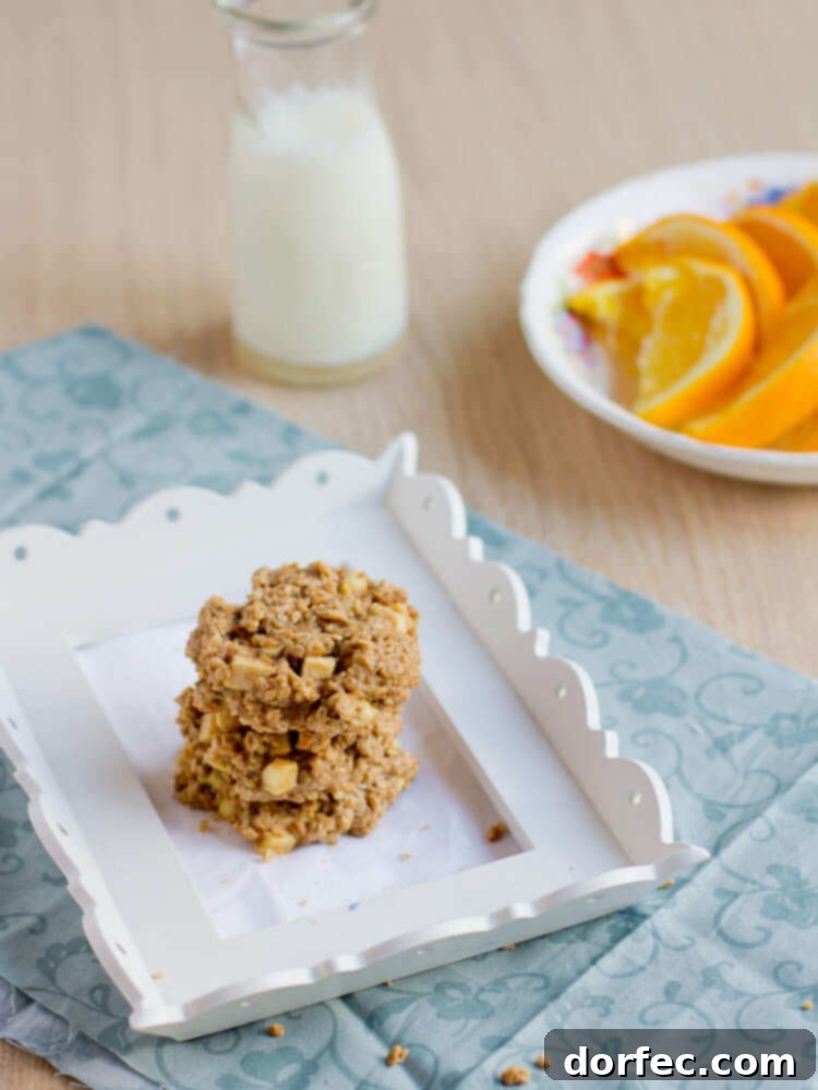 Hatching Hope 4 Healthy breakfast cookies with peanut butter and apple for a quick, nutritious start.