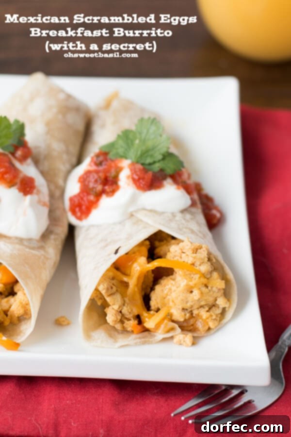 Hatching Hope 6 Mexican Scrambled Eggs Breakfast Burrito, a flavorful and hearty breakfast option.