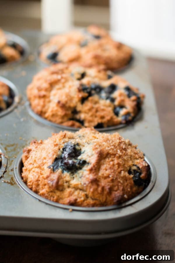 Hatching Hope 7 Fluffy Whole Wheat Blueberry Muffins made with oat flour, a healthy and delightful breakfast treat.