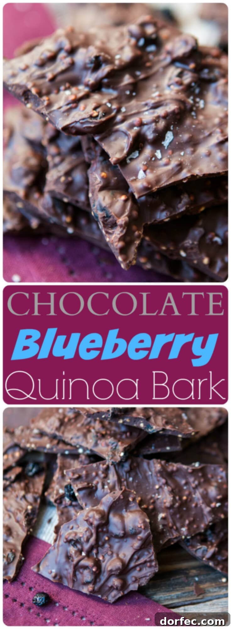 Wholesome Blueberry Quinoa Chocolate Bark 2 Irresistible dark chocolate blueberry quinoa bark, a healthy and delightful snack. ohsweetbasil.com