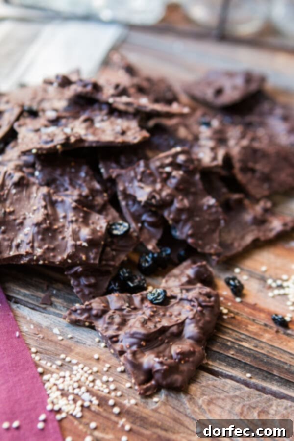 Delicious Chocolate Blueberry Quinoa Bark with a vibrant mix of flavors. Close-up of freshly made chocolate blueberry quinoa bark, showcasing the rich texture and ingredients.
