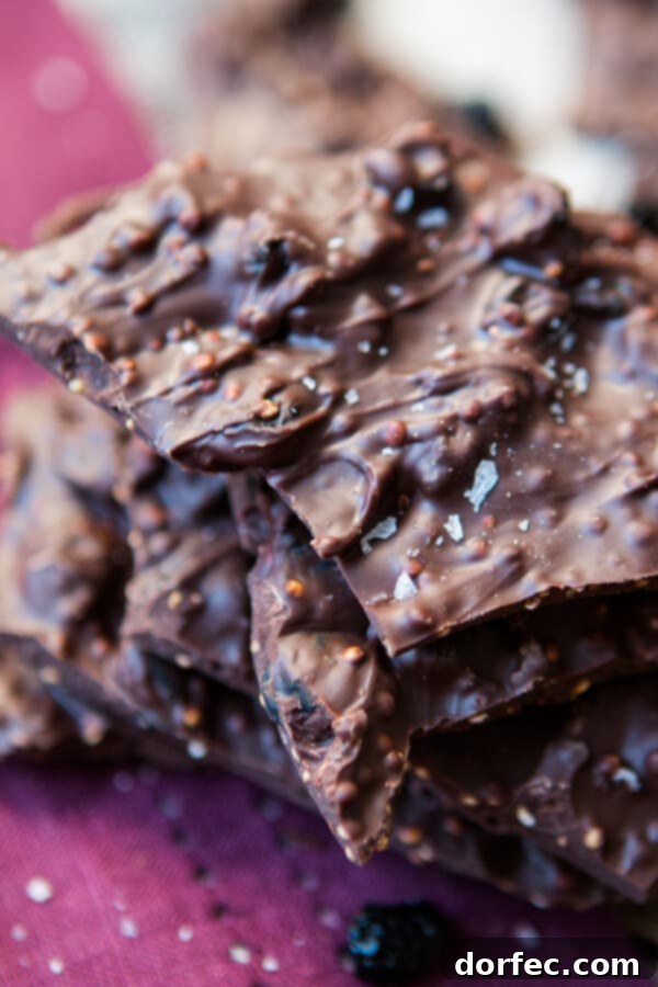 Dark Chocolate Blueberry Quinoa Bark: a delightful balance of sweet and tart. A vibrant display of dark chocolate blueberry quinoa bark, highlighting the texture and color.