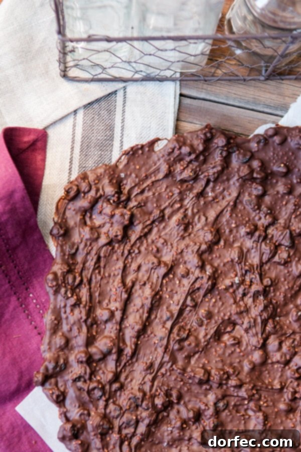 Easy homemade chocolate bark with blueberries and crispy quinoa. Hand holding a piece of chocolate blueberry quinoa bark, showing its thickness and texture.
