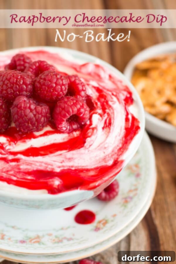 A light and airy No-Bake Raspberry Cheesecake Dip, delicately pink and topped with fresh raspberries, showcasing its creamy texture and vibrant fruit. It promises a refreshing and easy dessert.
