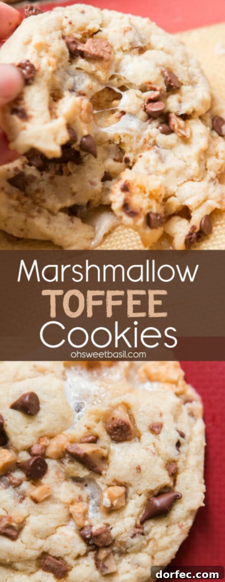 Toffee Marshmallow Cloud Cookies 3 A beautifully arranged marshmallow toffee cookie with visible chocolate chips and melted marshmallows, ready to be enjoyed.
