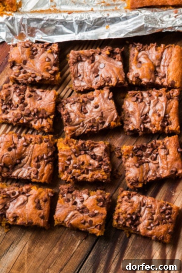 Nutella Swirled Pumpkin Bars - The only pumpkin recipe you need for the entire holiday season.