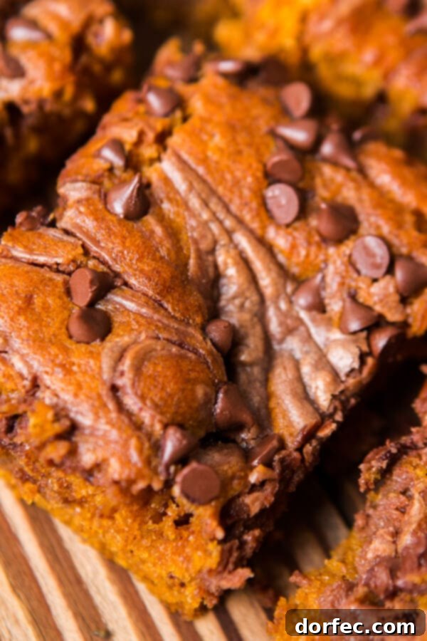 Pumpkin bars, pumpkin cake, pumpkin cookies, are you tired of pumpkin yet? I’m not. ohsweetbasil.com