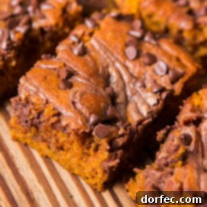 Nutella Swirled Pumpkin Bars are the winners. ohsweetbasil.com