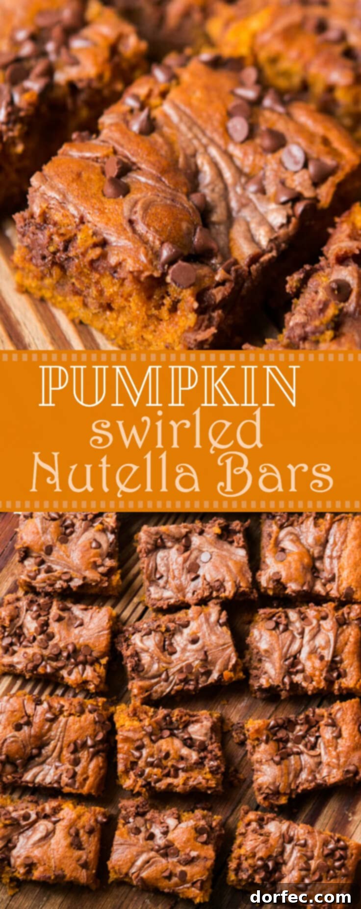 Rich chocolate covered pumpkin cupcakes, a perfect fall treat.