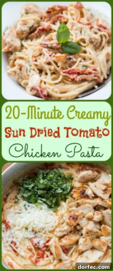 All you need is one skillet, a few fresh ingredients and soon enough you'll have 20 minute creamy sun dried tomato chicken pasta for dinner. ohsweetbasil.com