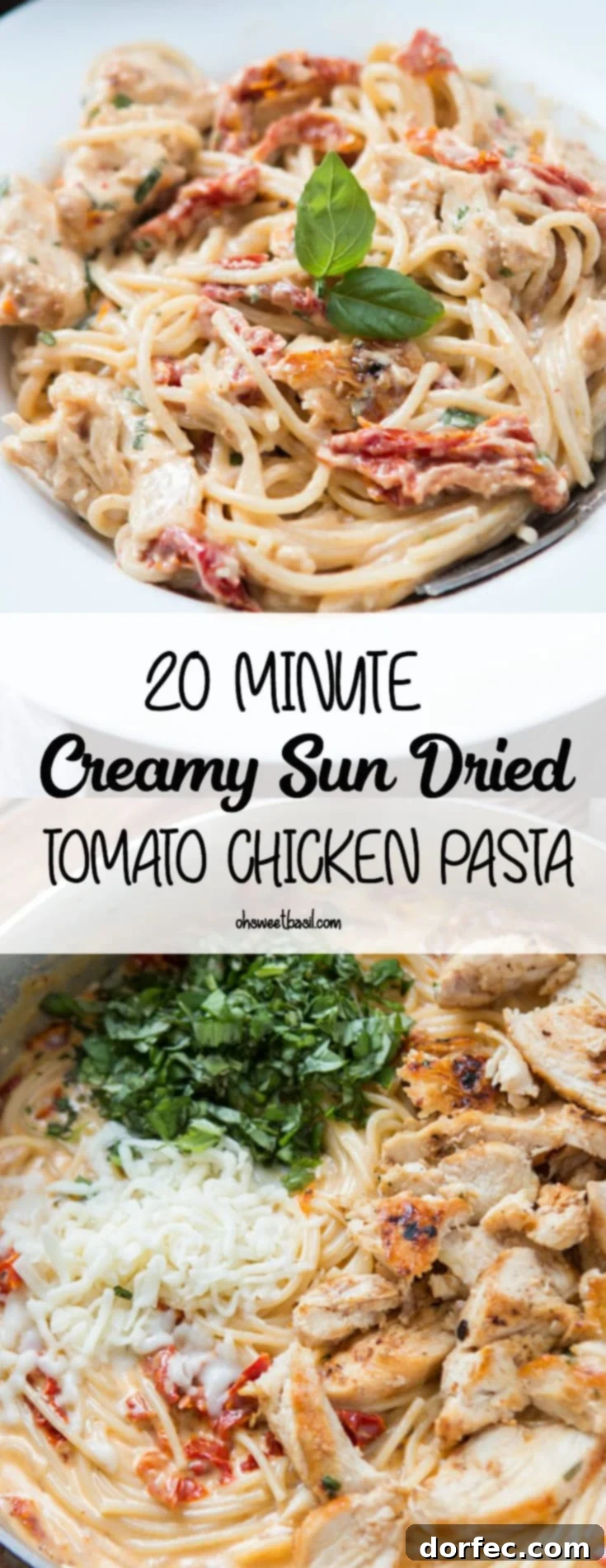 A bowl of creamy sun dried tomato chicken pasta