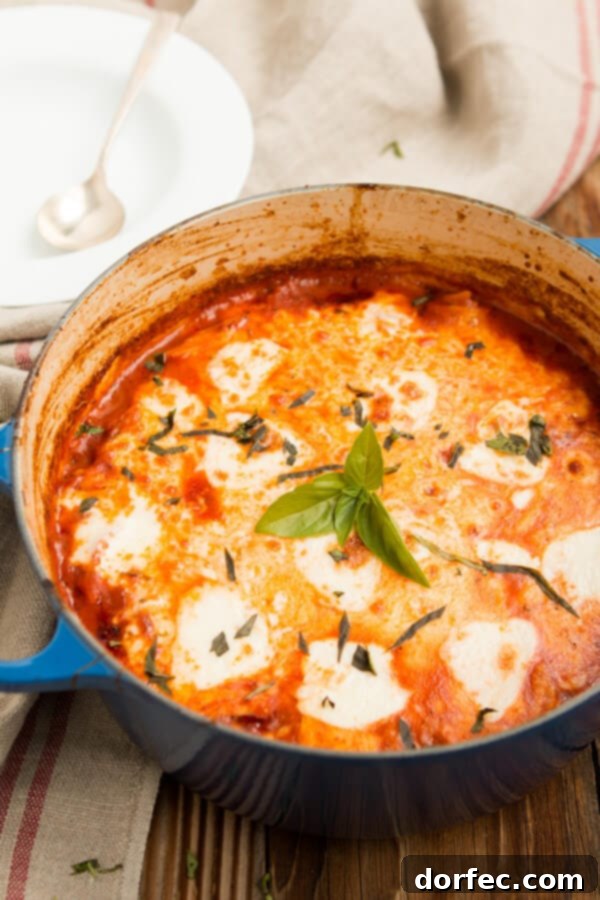The BEST, tried and tested, One Pot Recipe! One pot lasagna pasta ohsweetbasil.com