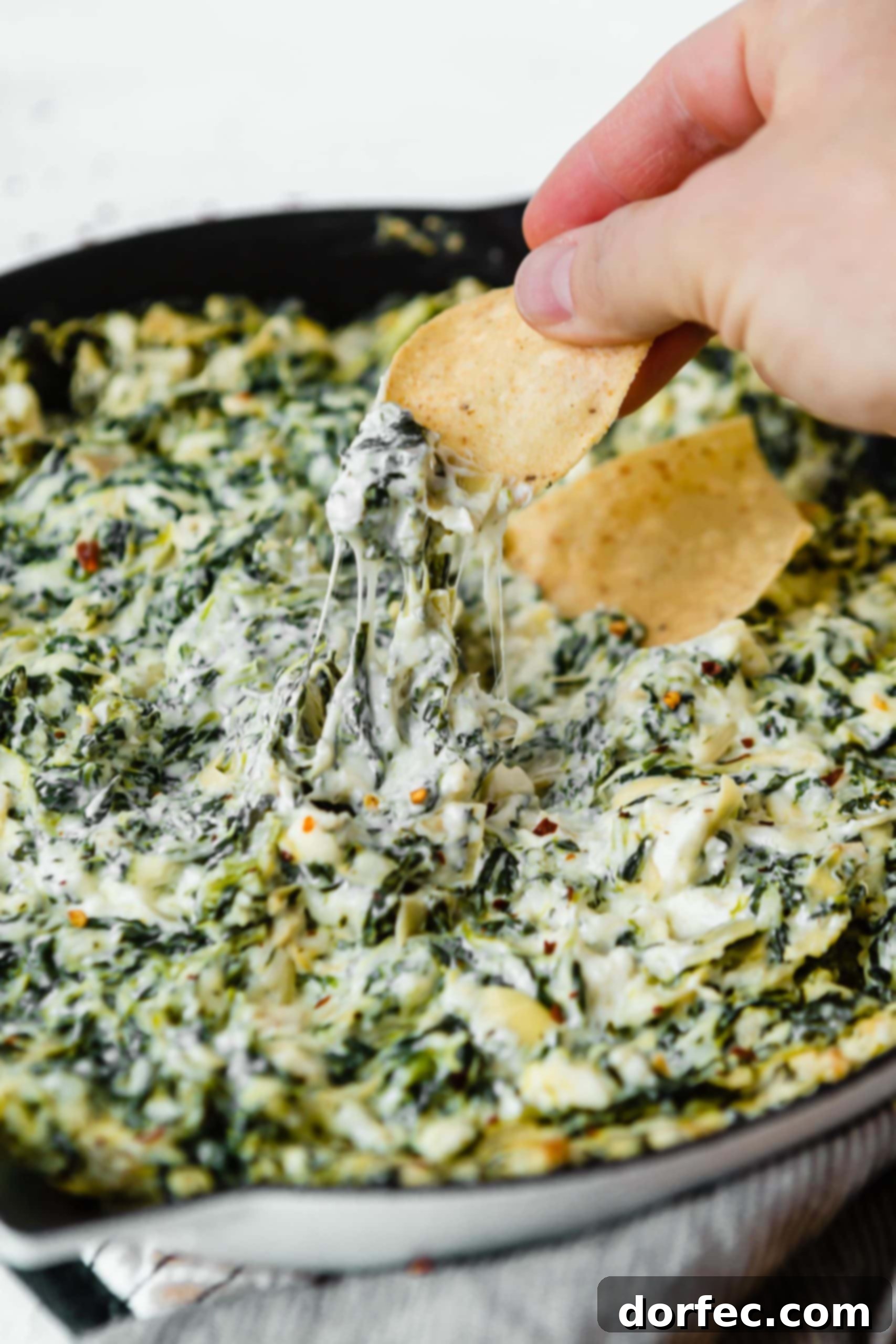 Cheesy Spinach Artichoke Dip A cast iron skillet filled with spinach and artichoke dip. The spinach and artichokes are mixed into a white creamy cheese sauce. A chip is being dipped into the cheesy goodness.