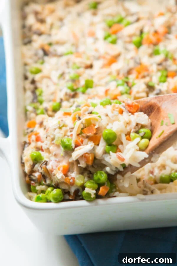 Milton's copycat creamy chicken with white and wild rice casserole is an easy, freezer-friendly meal. Oh Sweet Basil