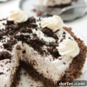 Cut out slice of No Bake Oreo Pie with Chocolate Graham Cracker Crust in a silver pie tray.