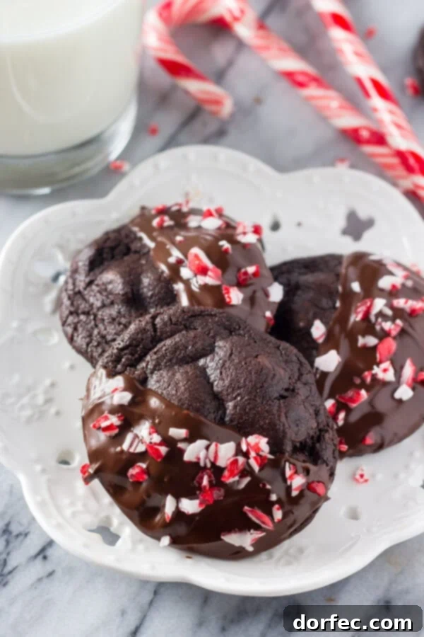 Peppermint Double Chocolate Cookies have a rich chocolate taste and are infused with peppermint. They're dipped in chocolate and sprinkled with crushed candy canes for the perfect holiday cookie! Peppermint Double Chocolate Cookies have a rich chocolate taste and are infused with peppermint. They're dipped in chocolate and sprinkled with crushed candy canes for the perfect holiday cookie!