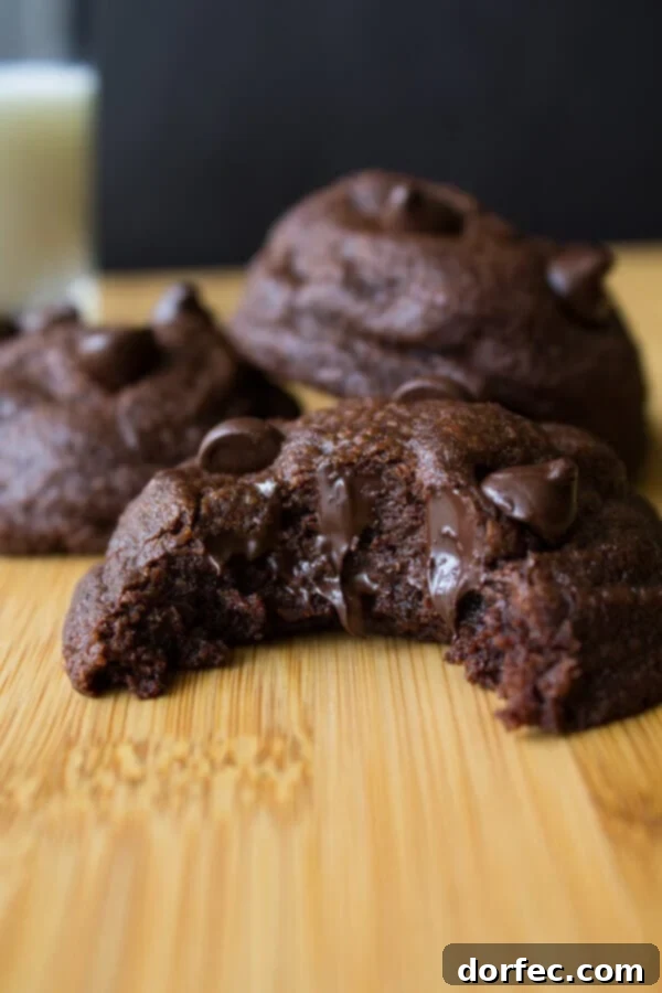 Rich Peppermint Fudge Cookies 5 Rich, fudgy, soft batch double chocolate cookies oozing with chocolate chips – Chocolate lovers rejoice!
