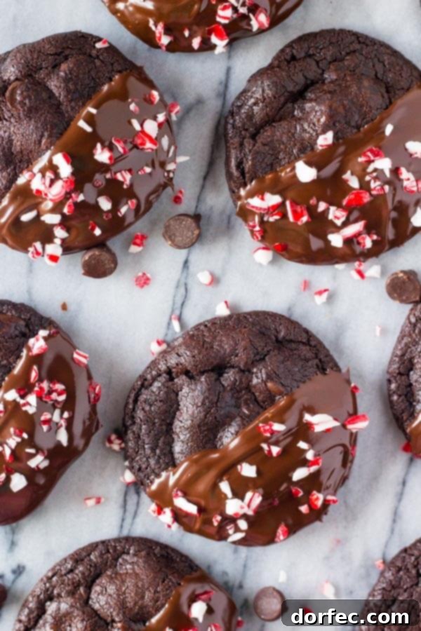 Peppermint Double Chocolate Cookies have a rich chocolate taste and are infused with peppermint. They're dipped in chocolate and sprinkled with crushed candy canes for the perfect holiday cookie! Peppermint Double Chocolate Cookies have a rich chocolate taste and are infused with peppermint. They're dipped in chocolate and sprinkled with crushed candy canes for the perfect holiday cookie!
