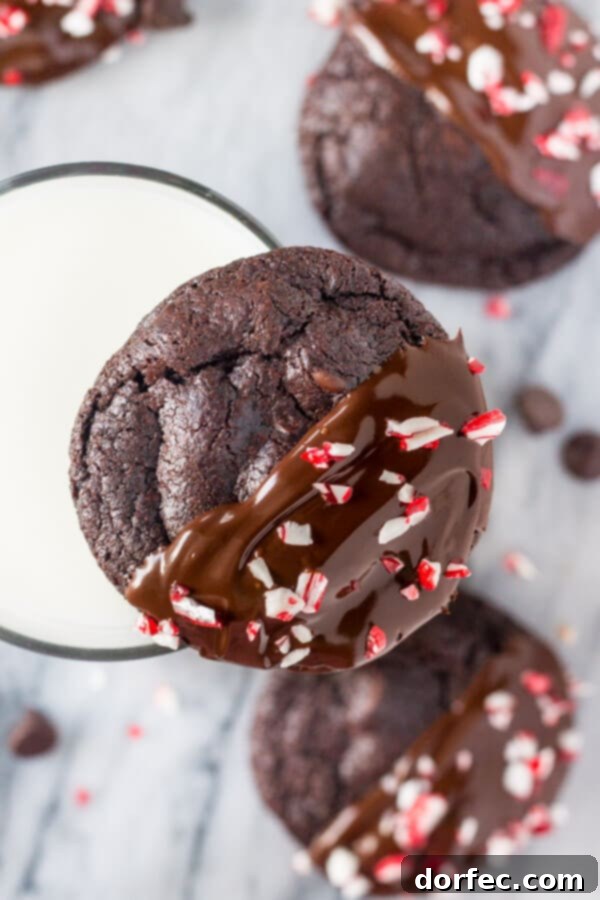 Peppermint Double Chocolate Cookies have a rich chocolate taste and are infused with peppermint. They're dipped in chocolate and sprinkled with crushed candy canes for the perfect holiday cookie! Peppermint Double Chocolate Cookies have a rich chocolate taste and are infused with peppermint. They're dipped in chocolate and sprinkled with crushed candy canes for the perfect holiday cookie!