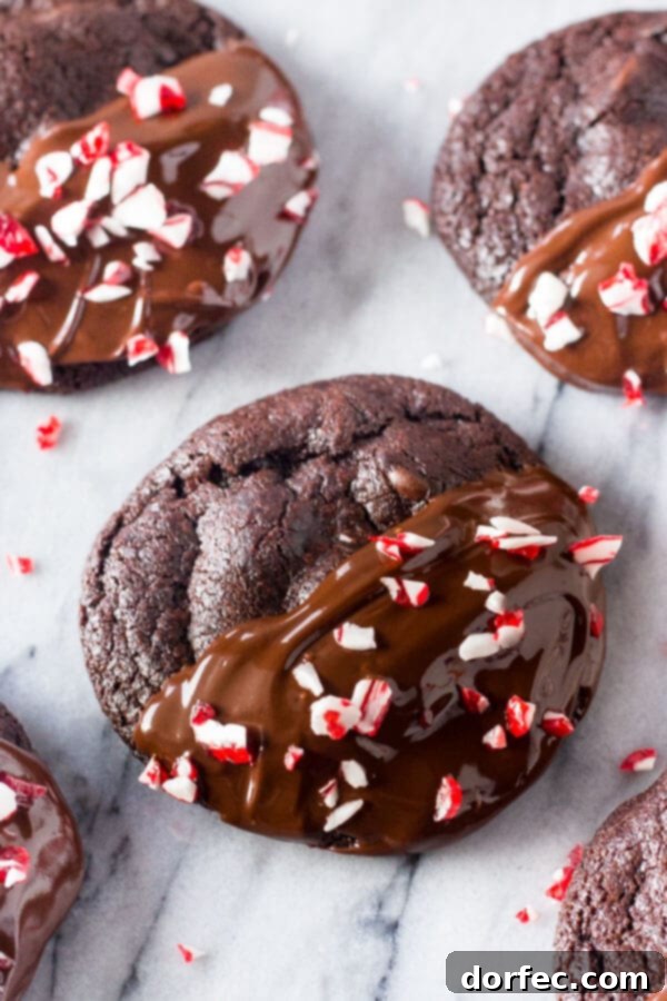 Peppermint Double Chocolate Cookies have a rich chocolate taste and are infused with peppermint. They're dipped in chocolate and sprinkled with crushed candy canes for the perfect holiday cookie! Peppermint Double Chocolate Cookies have a rich chocolate taste and are infused with peppermint. They're dipped in chocolate and sprinkled with crushed candy canes for the perfect holiday cookie!