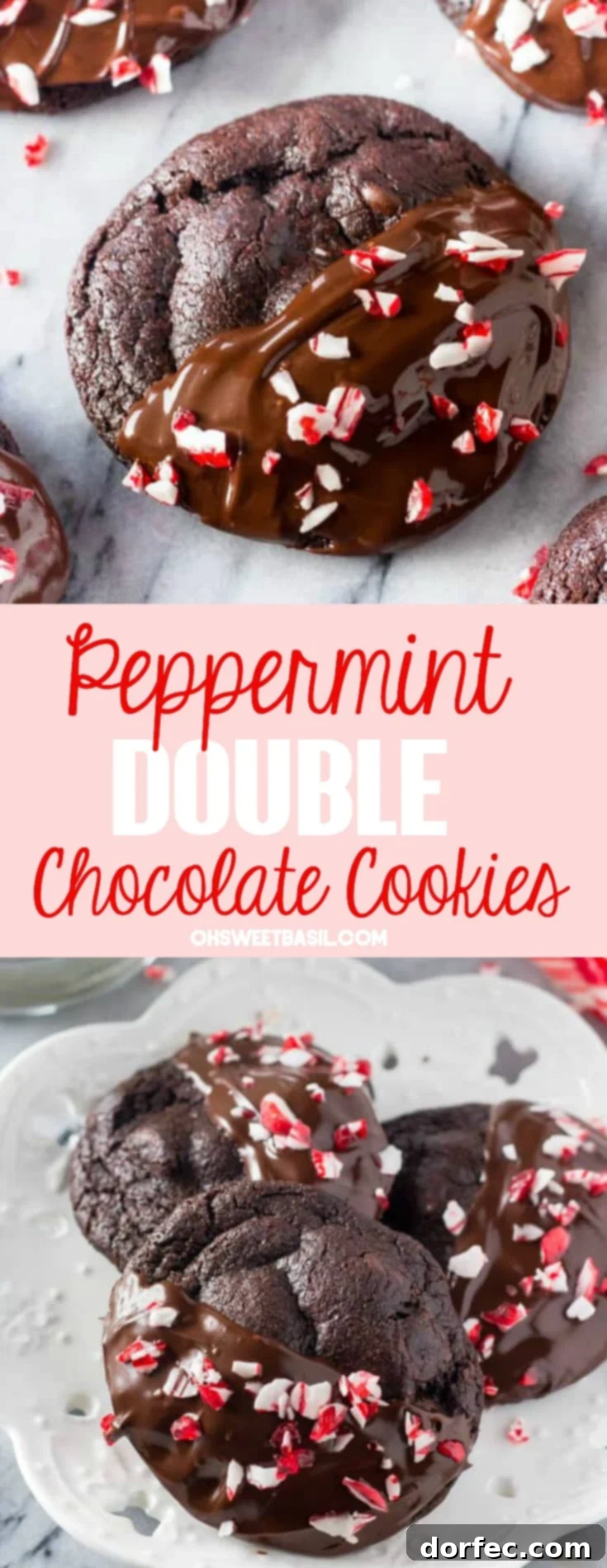 Rich Peppermint Fudge Cookies 2 Peppermint Double Chocolate Cookies dipped in chocolate and sprinkled with peppermint