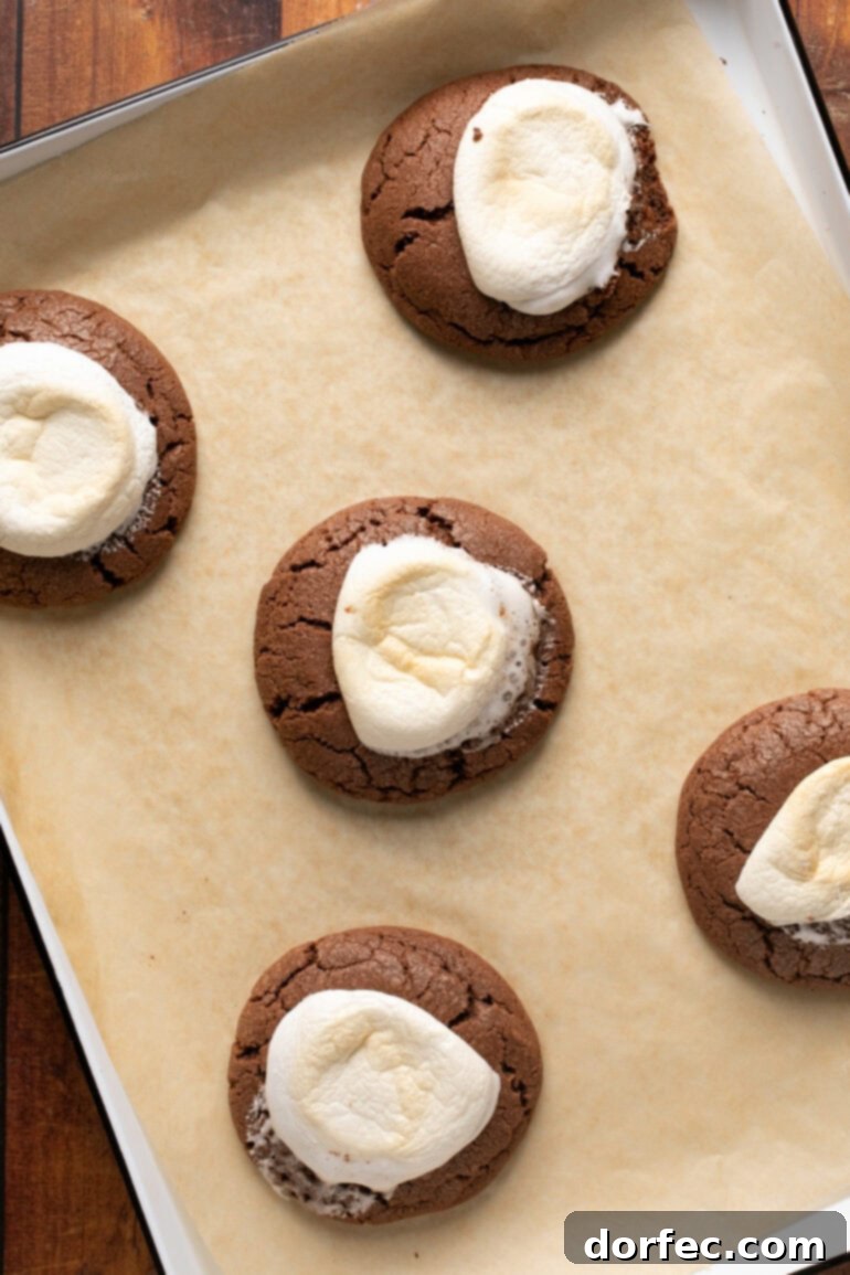 A gallery of images illustrating the process of preparing chocolate marshmallow cookies for baking, focusing on how to top them with large marshmallows to achieve the signature gooey center, ready for the oven.